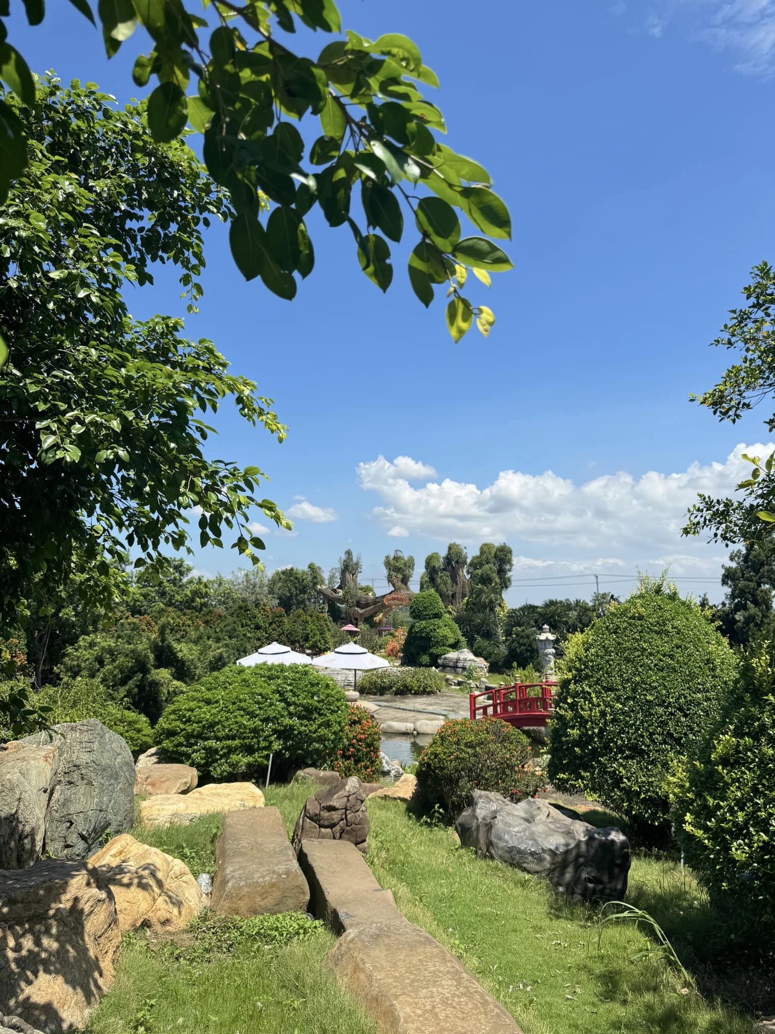 私のクイン動物園