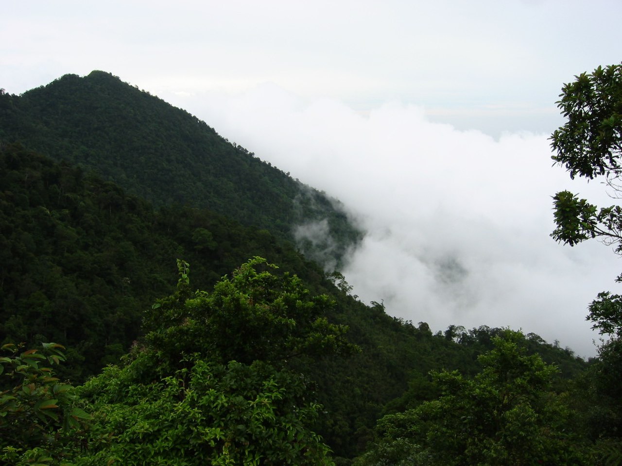 Tam Dao Mountain