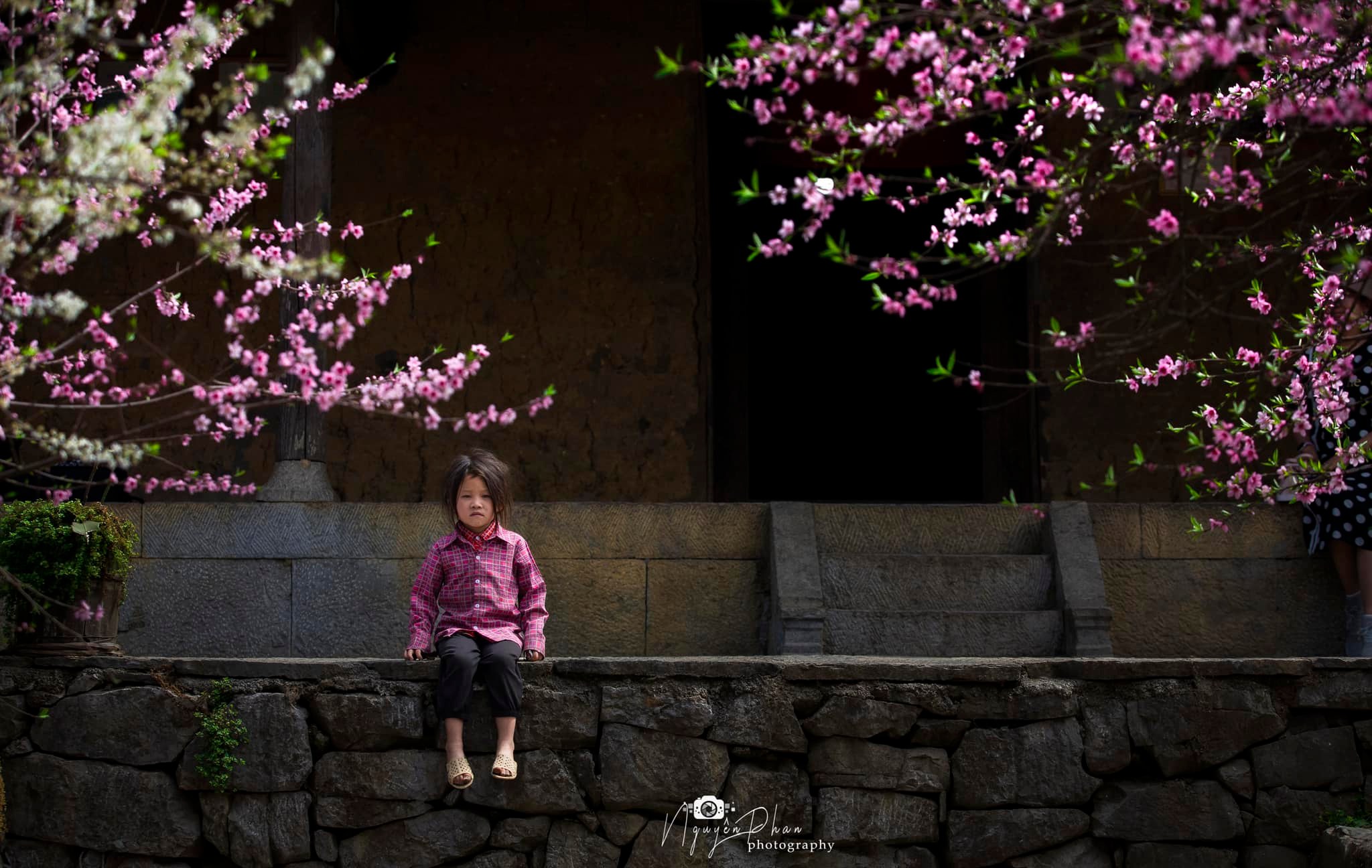 Beautiful, dreamy spring in Lao Xa, Ha Giang