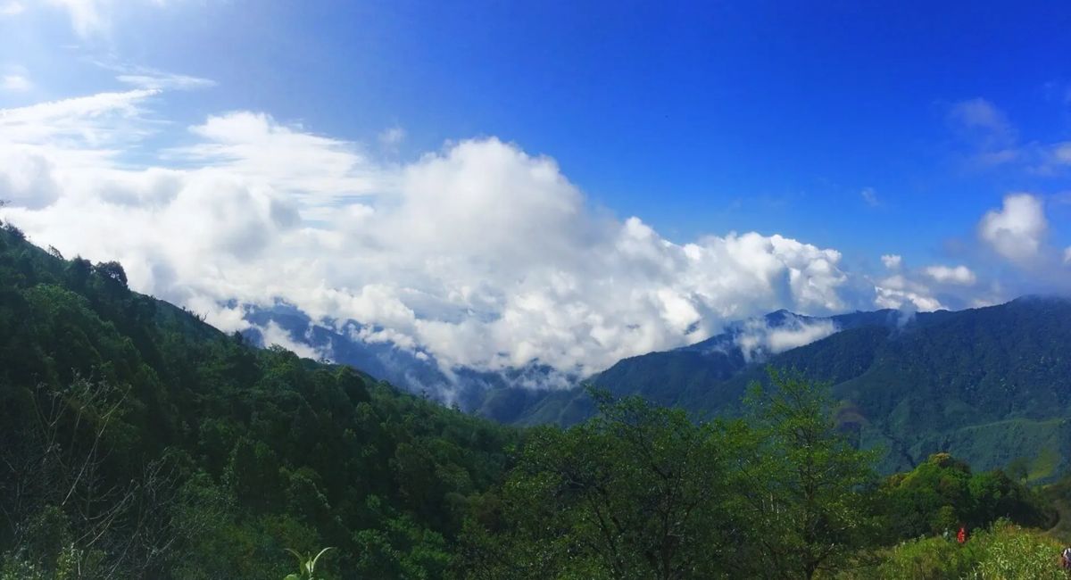 芒特自然保护区就像一幅狂野雄伟的自然画卷