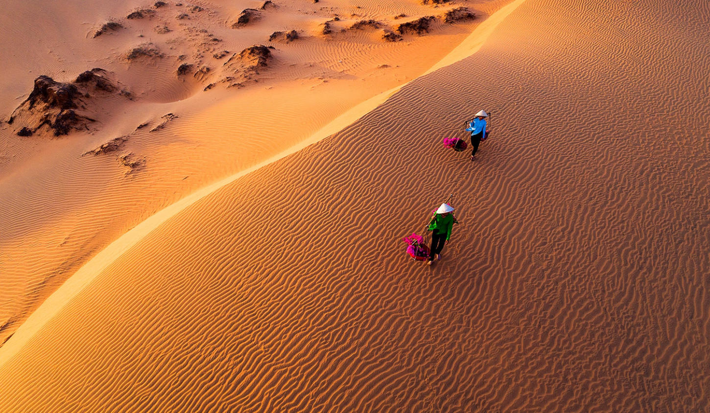 Đồi Cát Bay: Thiên Đường Cát Mênh Mông Giữa Lòng Phan Thiết