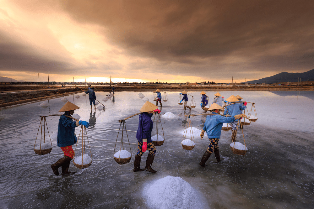 Dam Vua salt fields