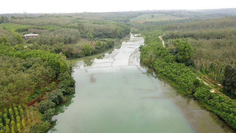 Rừng nguyên sinh Rú Lịnh