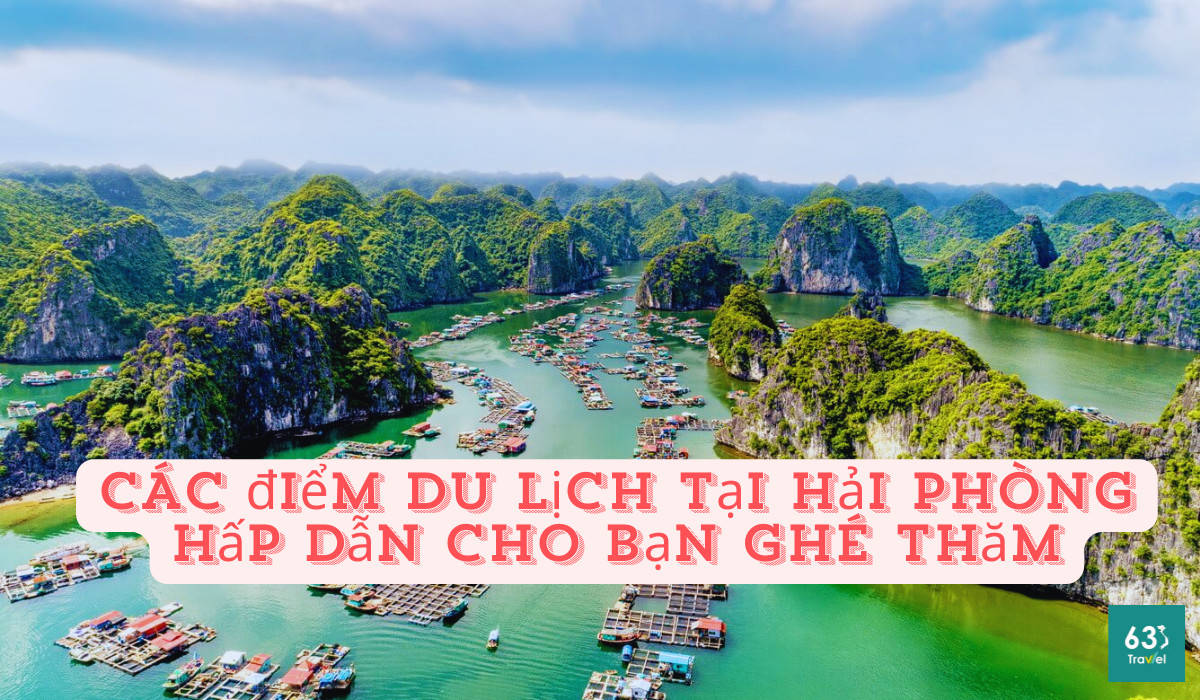 Hẹn nhau ghé ngay 8+ điểm du lịch tại Hải Phòng hấp dẫn cho bạn ghé thăm