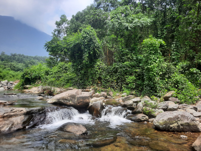 Stone Gate Stream