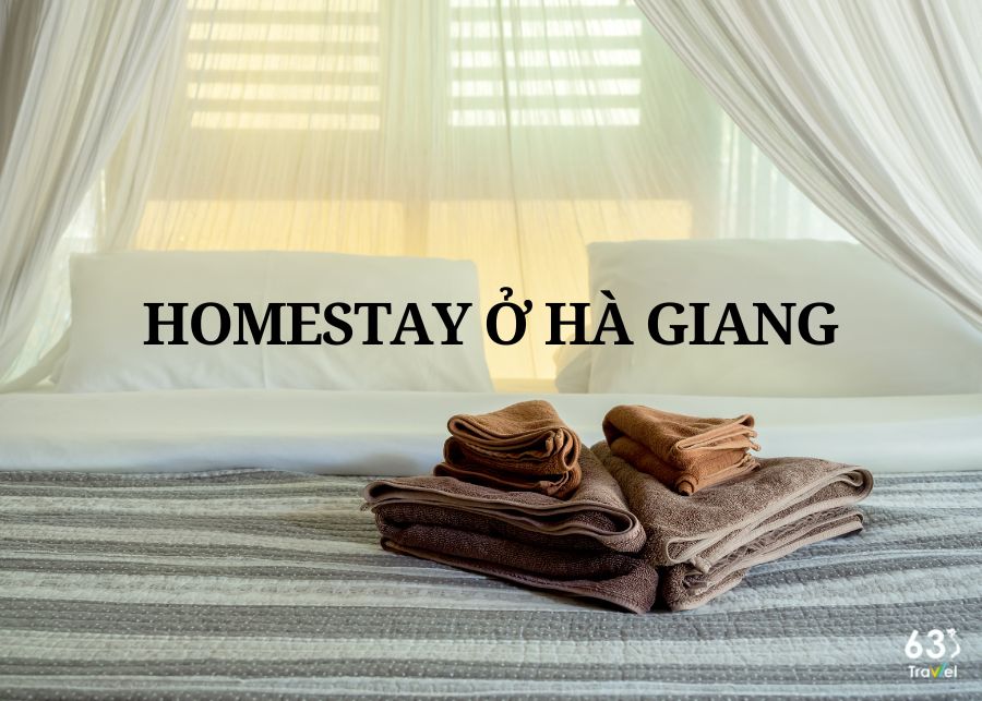 Check-in to 15 homestays in Ha Giang with cheap prices and beautiful cloud views