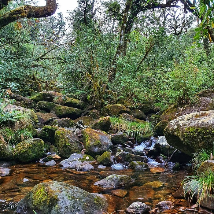 タレン村