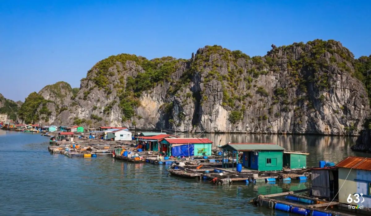 Làng chài Việt Hải - Ngôi làng xanh mát trăm năm tuổi ở Hải Phòng