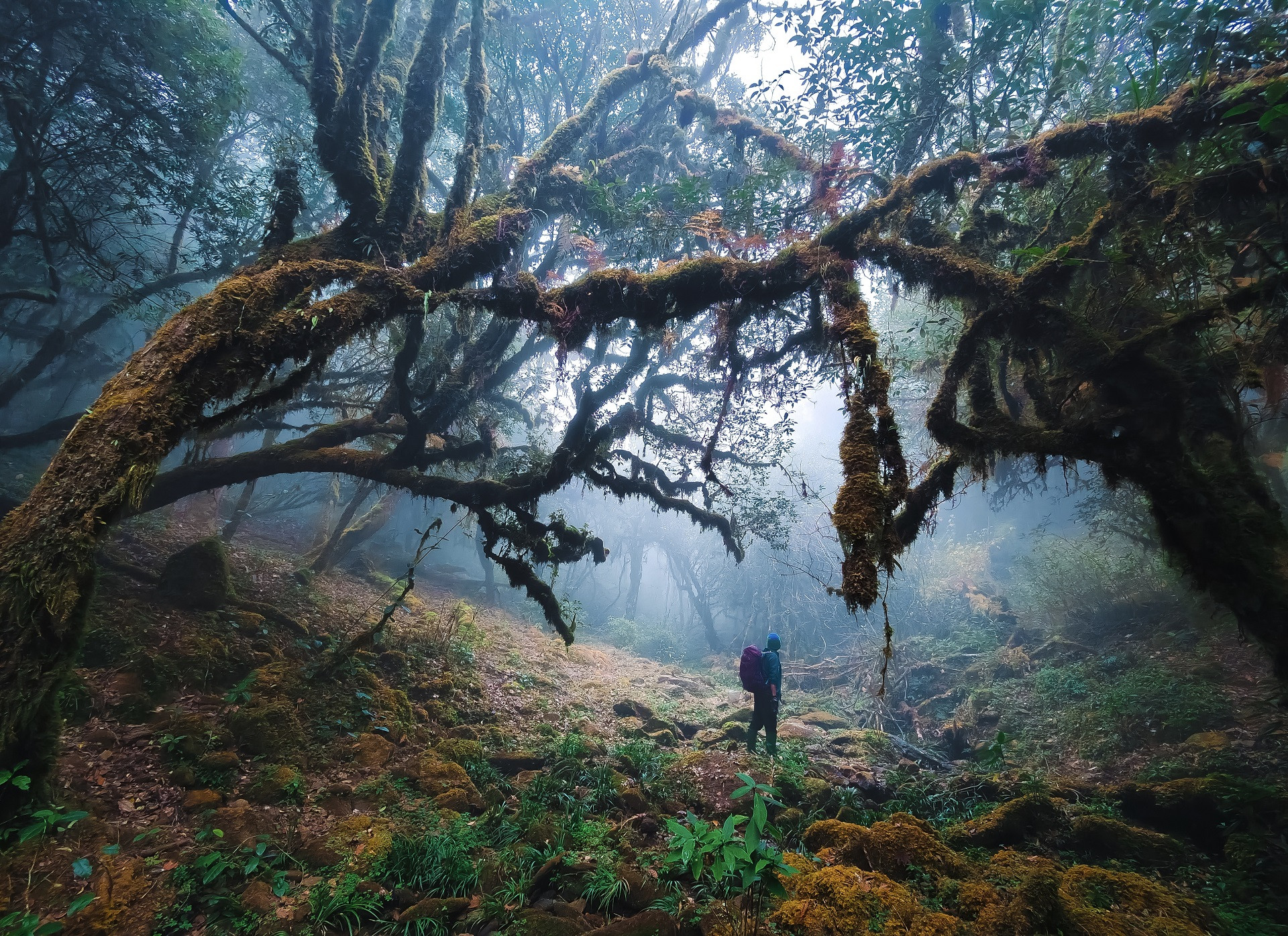 The fairyland on Sam Mu peak, once visiting is never enough