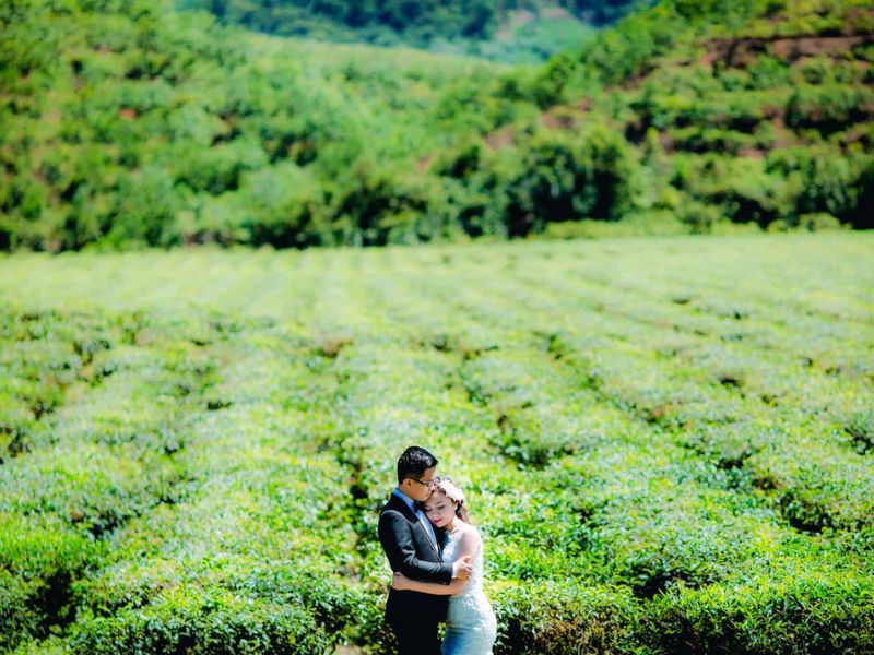 来广南，除了打卡会安，绝对不能错过东江茶山。