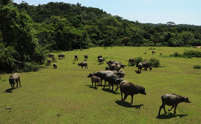 Kon Chu Rang Nature Reserve