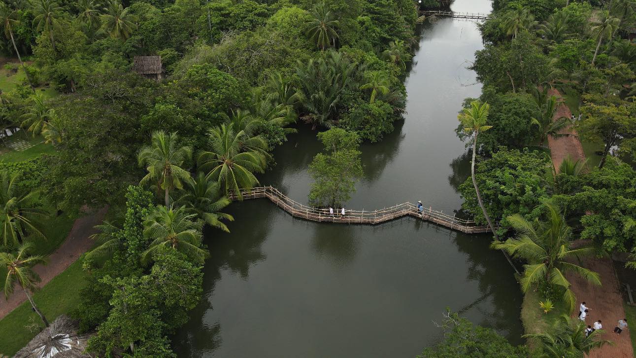 Binh Quoi 旅游区对于那些想在市中心寻找一个大而安静的花园的人来说是一个理想的目的地。