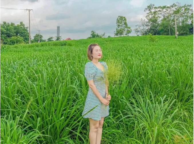 夏季，巴文马场成为许多游客的野餐地点。