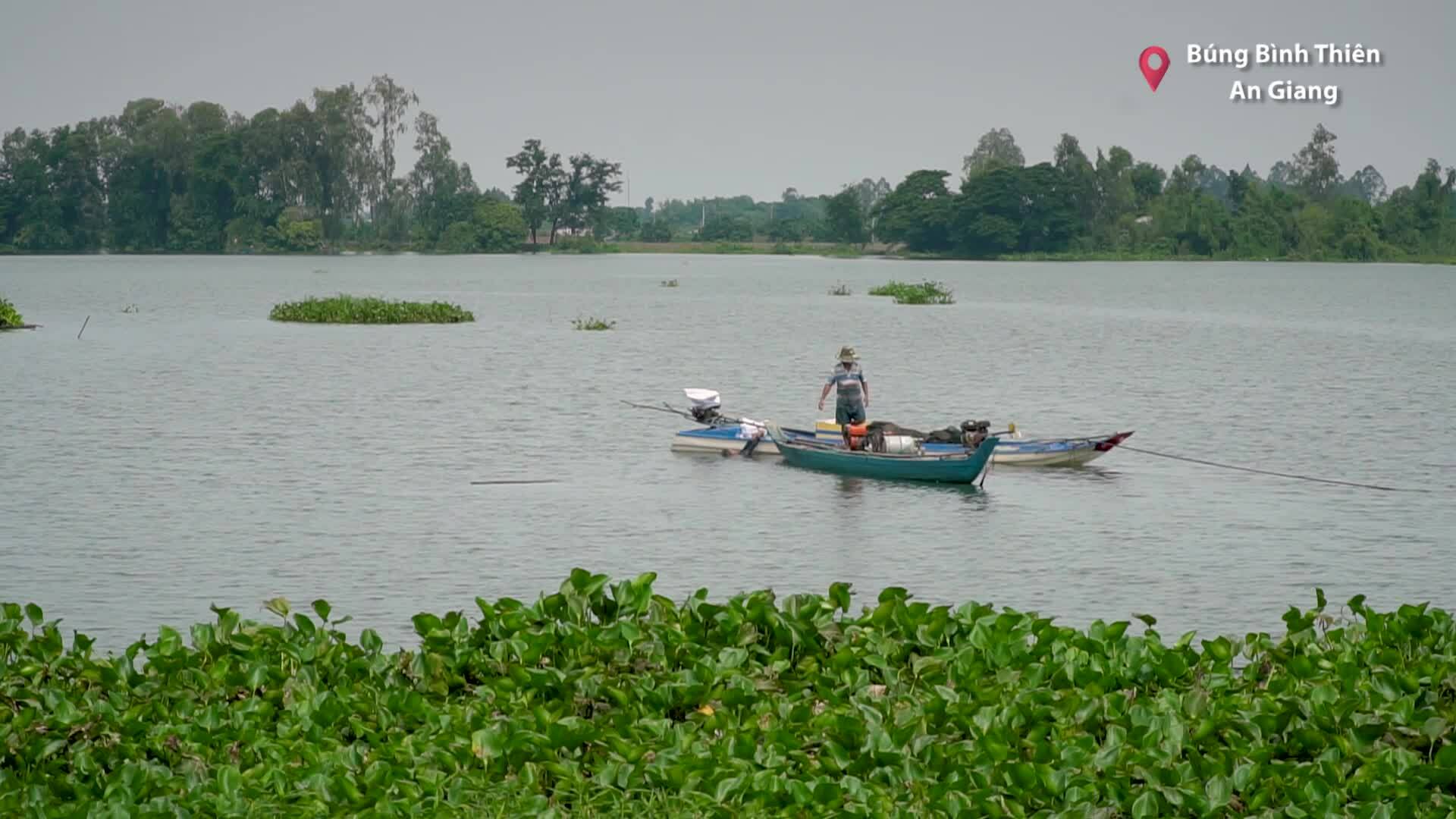 Bung Binh Thien