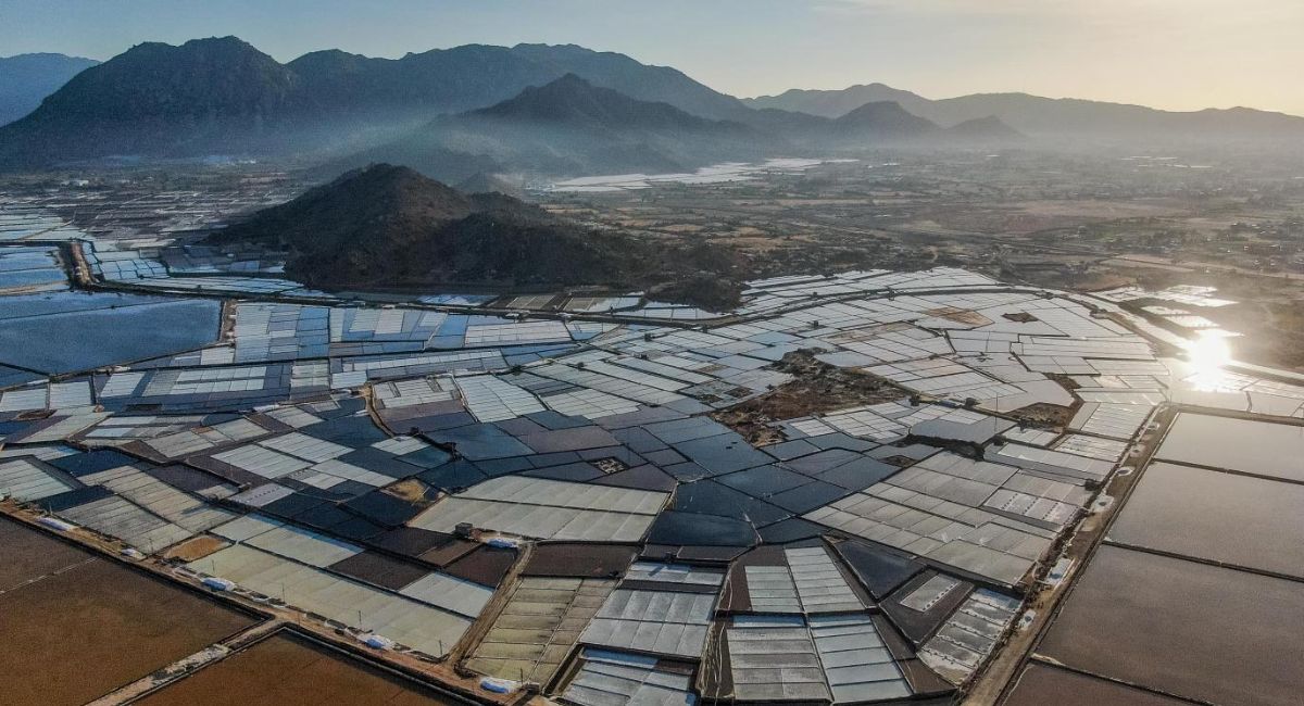 Dam Vua salt fields