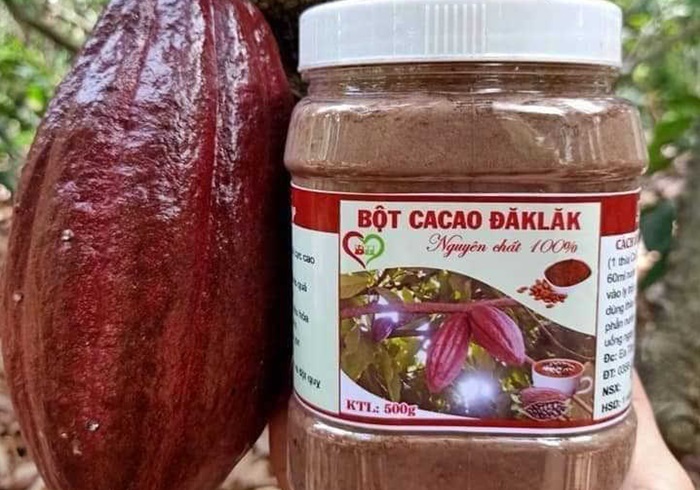 Bột cacao - đặc sản Đắk Lắk làm quà hấp dẫn