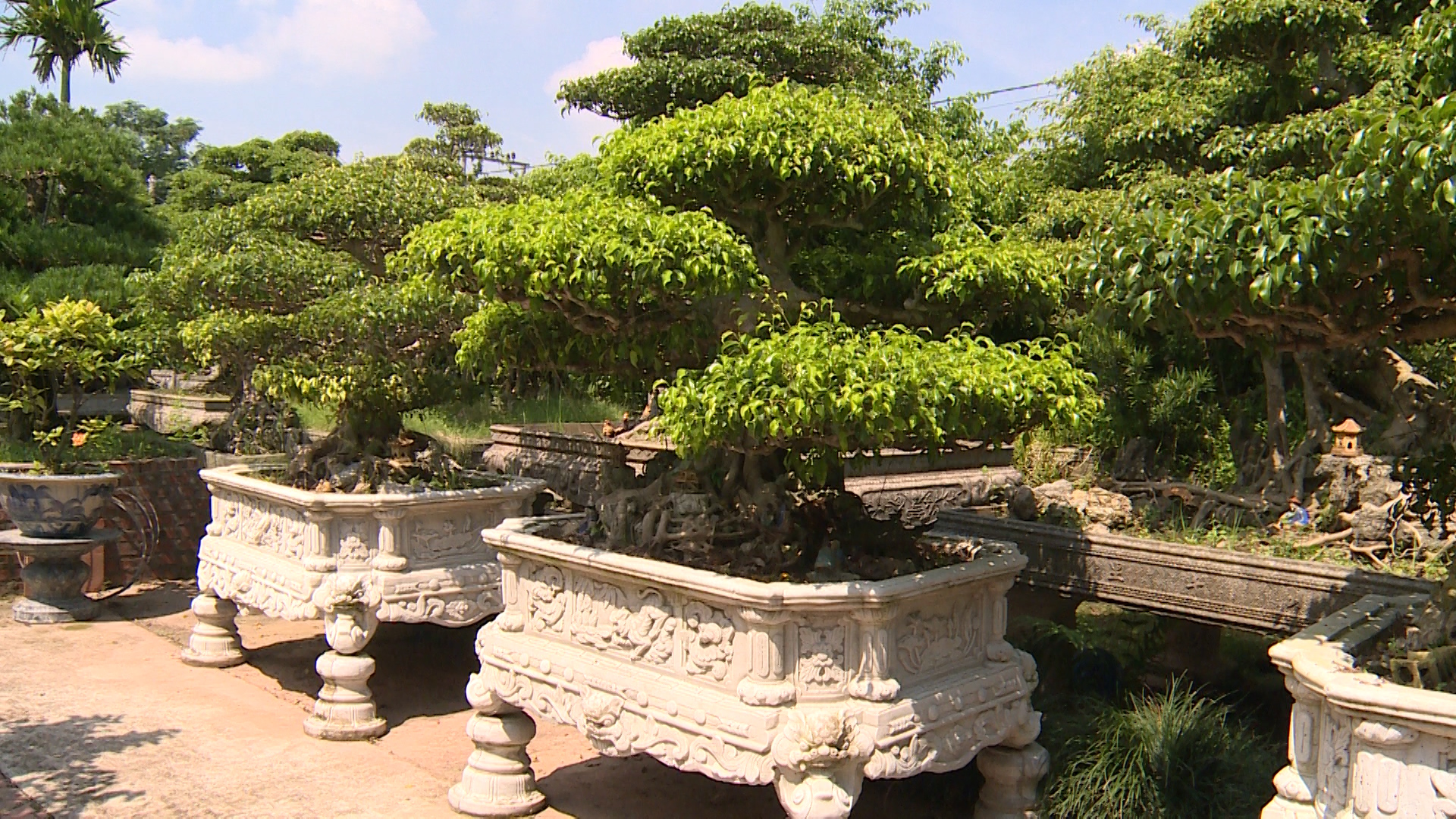 巴赫顺花园村