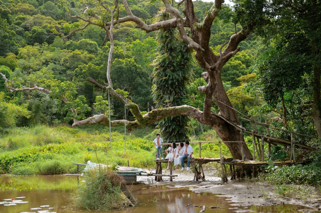 Nhất Lâm Thủy Trang Trà