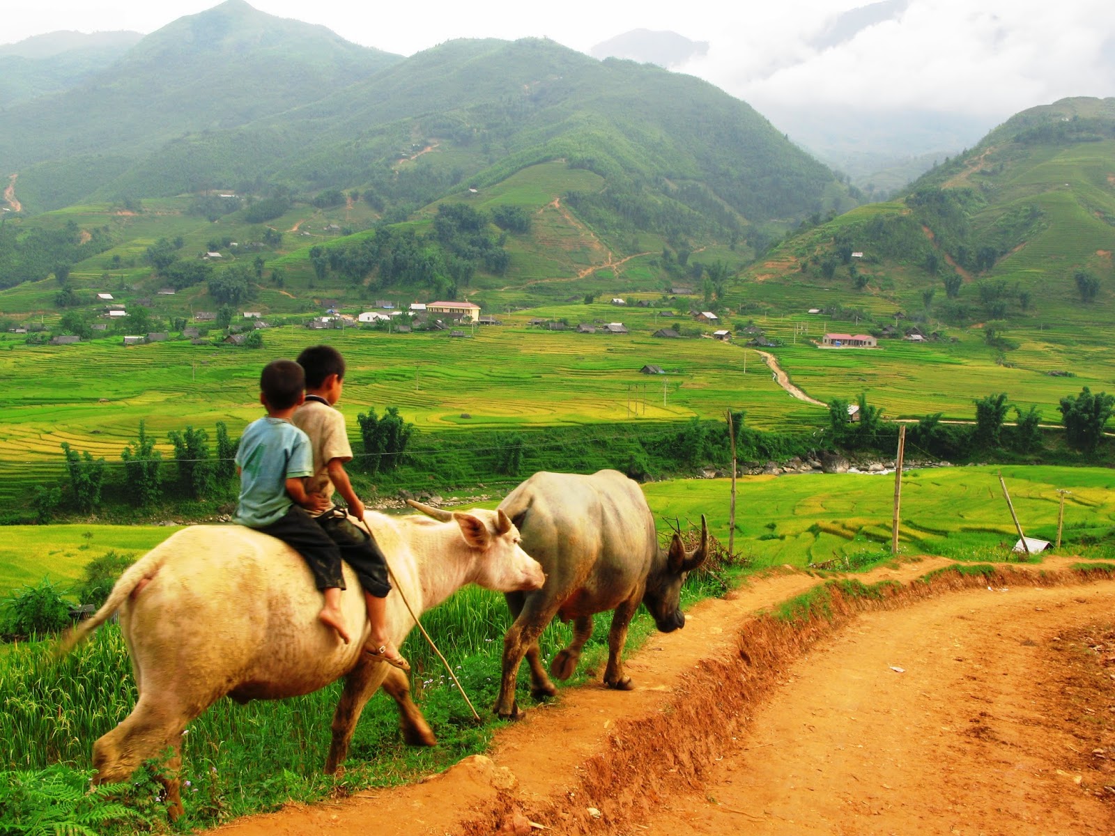 Bản Tà Phìn