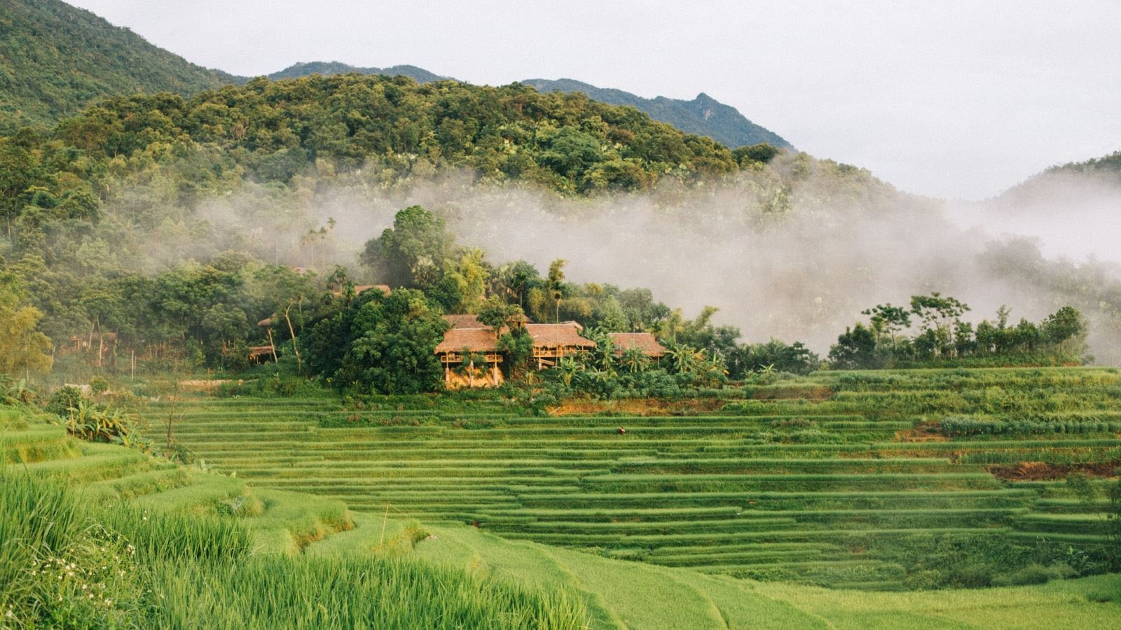 Kho Muong