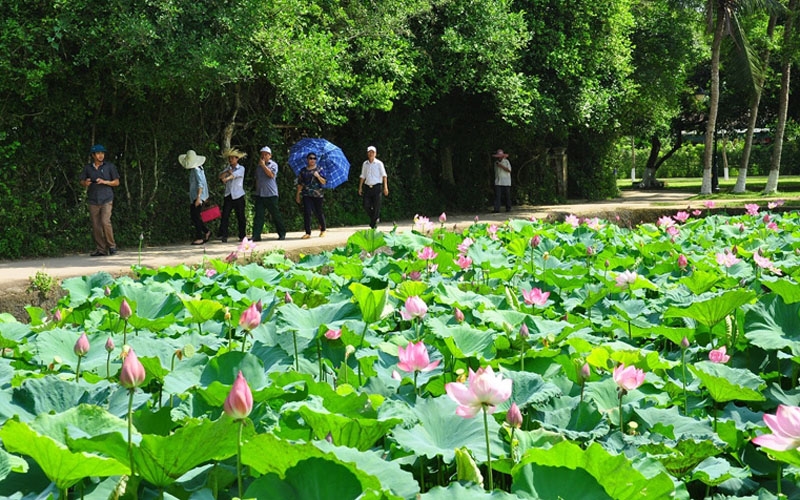 Lotus Village