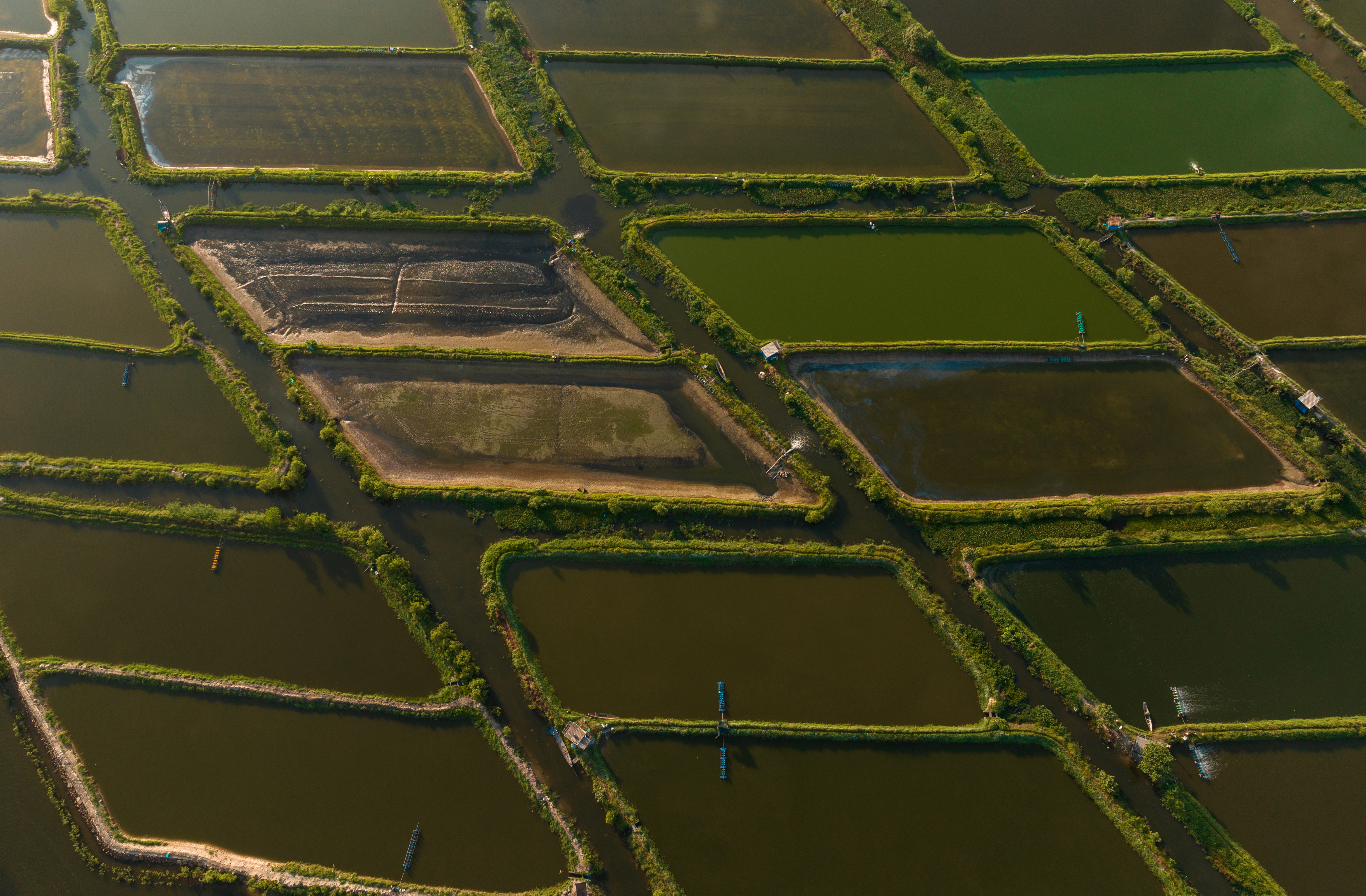 Afternoon on Tam Giang lagoon