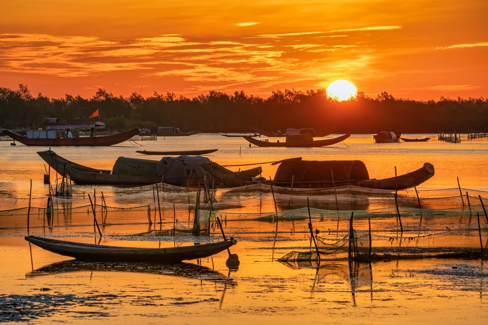 Lạc bước chốn tiên cảnh Phá Tam Giang - Nét đẹp hoang sơ, cổ kính níu chân du khách