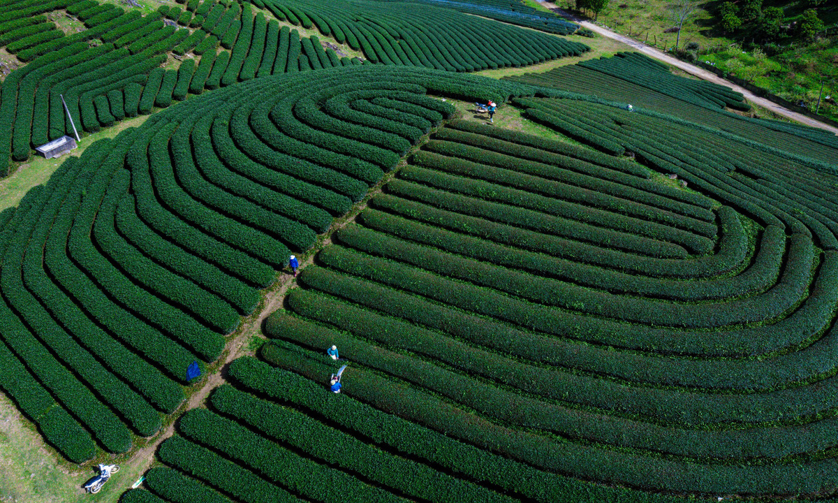 心茶山