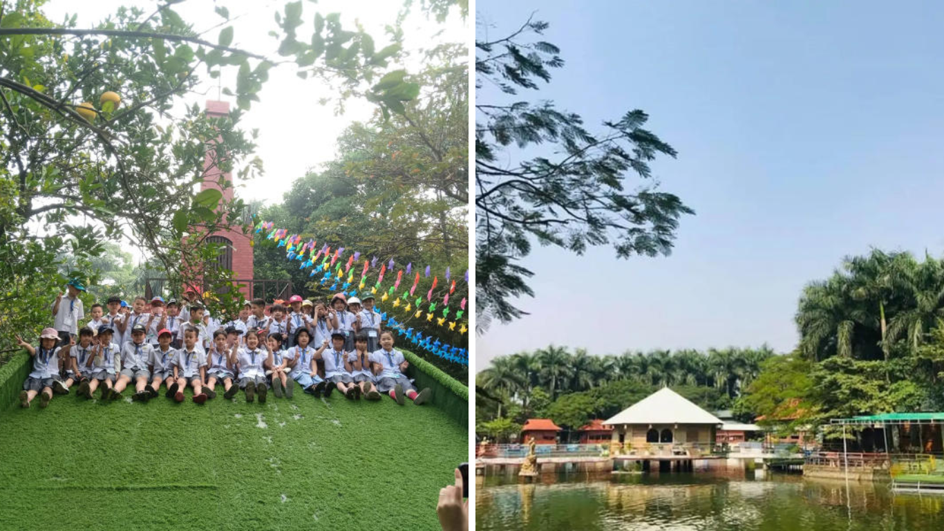 Giải Tỏa Căng Thẳng: Thả Mình Giữa Không Gian Trong Lành Ở Cánh Buồm Xanh Park