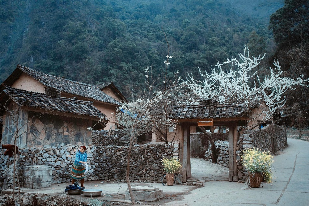 鲍家的宁静景象