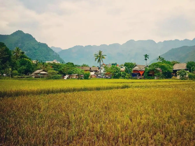 Bản Lác Mai Châu