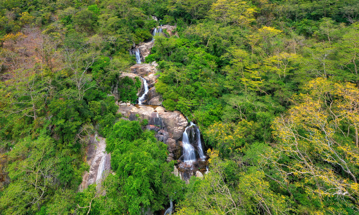 Nui Chua National Park: A Journey Through Nature’s Masterpiece