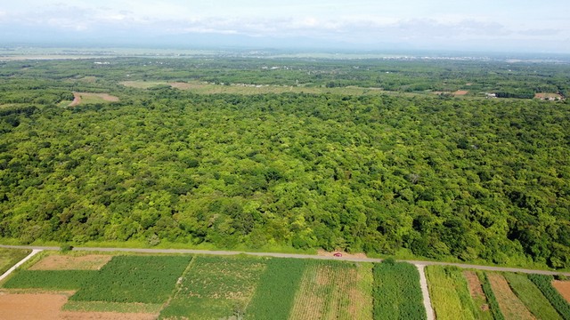 Rừng nguyên sinh Rú Lịnh