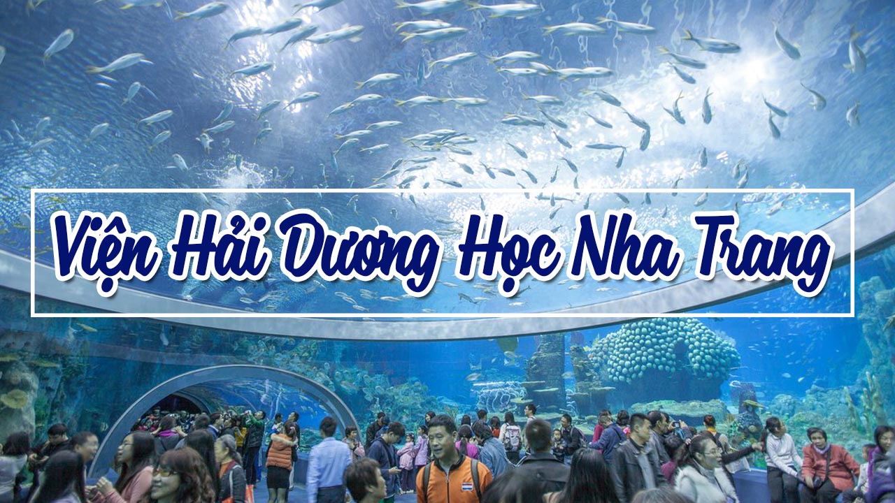 Discover Hidden Ocean Treasures At Nha Trang Institute Of Oceanography