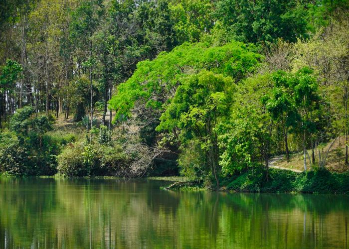 特鲁克湖 (Truc Lake)、得农 (Dak Nong)