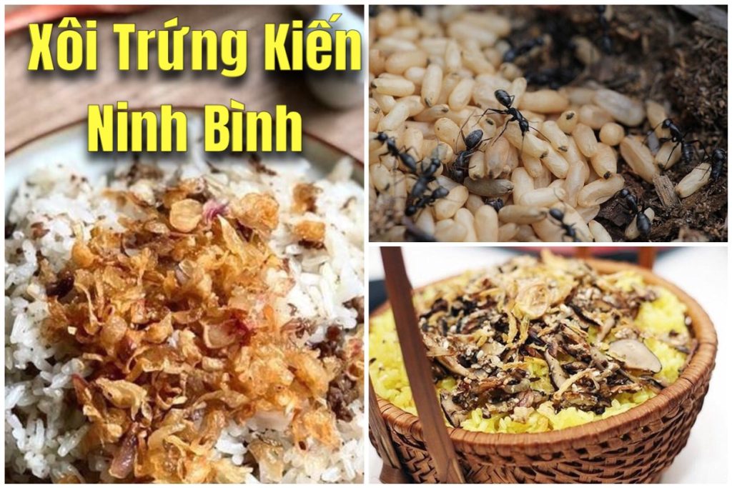 Trải Nghiệm Đặc Sản Xôi Trứng Kiến – Hương Vị Dân Dã Của Ninh Bình