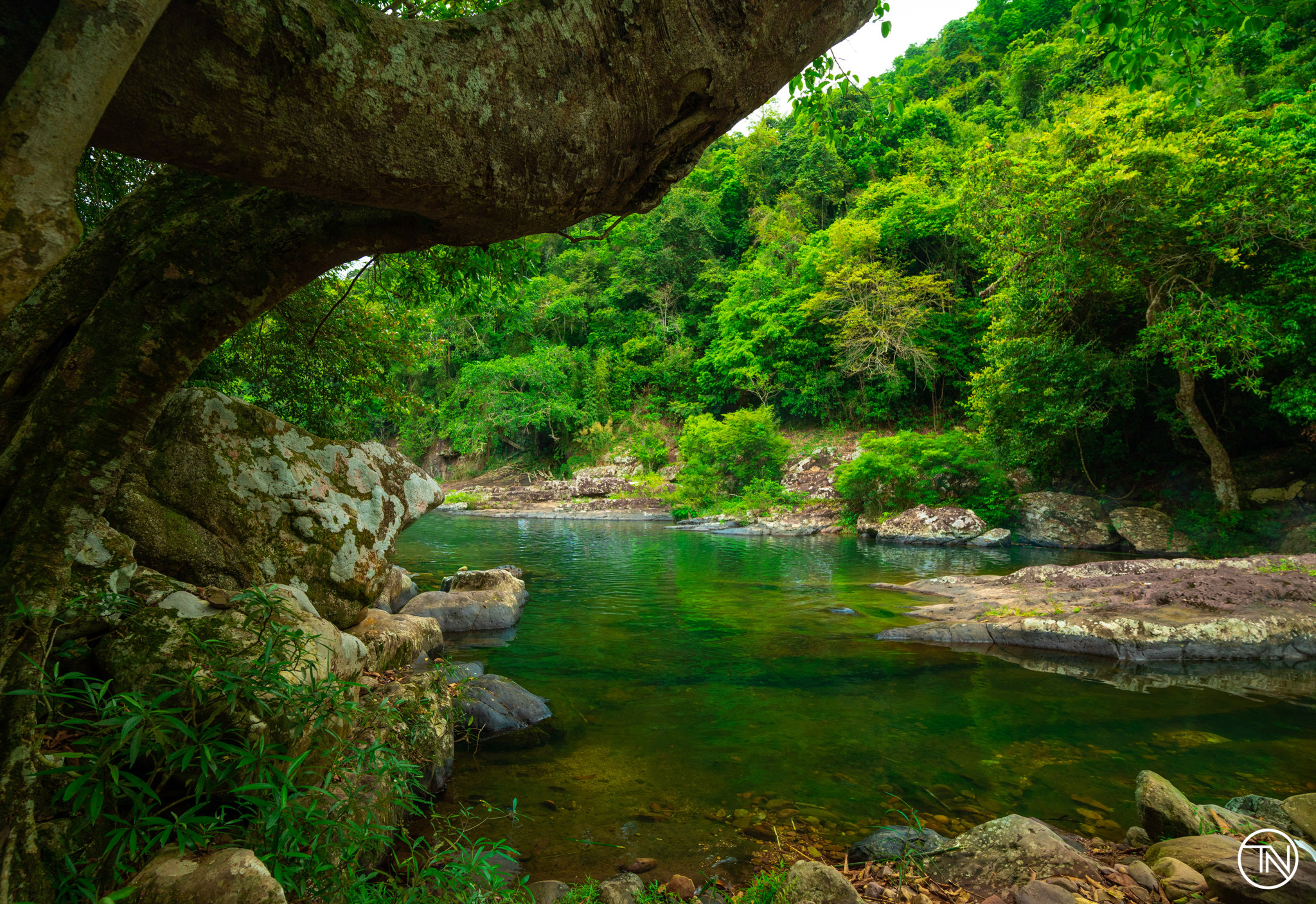 Cool green stream