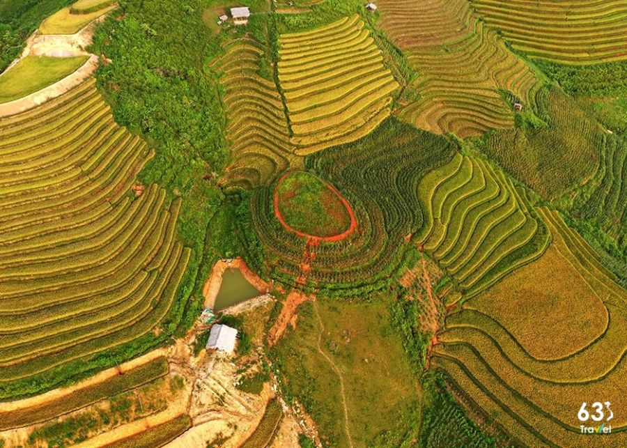 Ruộng bậc thang Phong Dụ Thượng ở Hà Giang