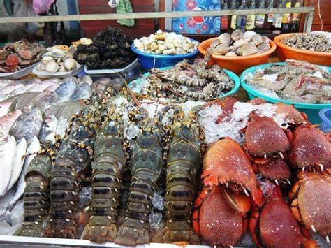 Fresh seafood market in Sam Son