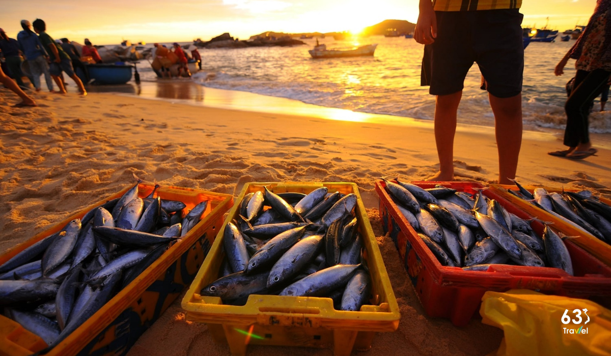 Cuộc sống thanh bình nơi làng chài An Hải ở Phú Yên