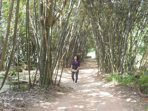 Simple beauty in Phu An bamboo village