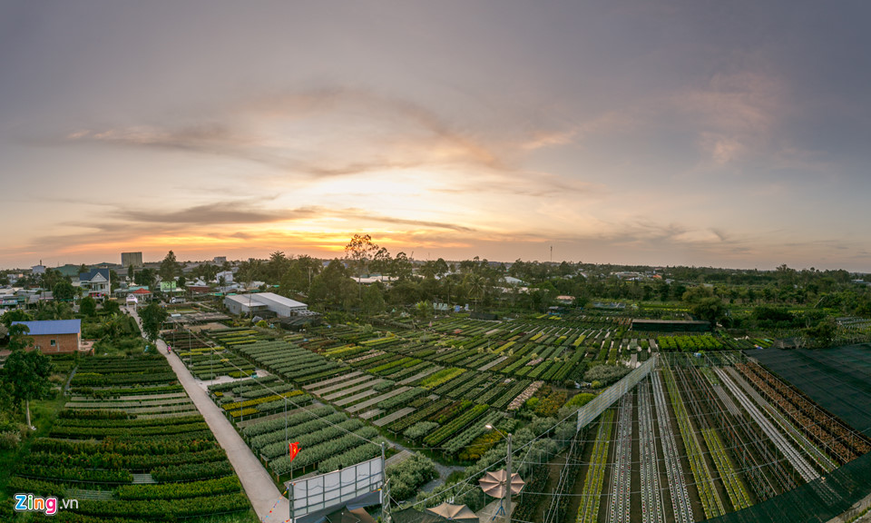 Sunset at Sa Dec flower village