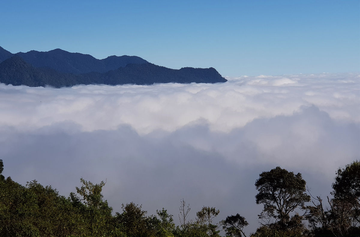 最满足的体验绝对是站在玉灵峰呼吸新鲜空气的体验