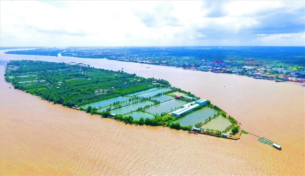 Con Son is a floating land area (also known as an island) located in the middle of the Hau River with an area of ​​70 hectares, alluvial all year round.