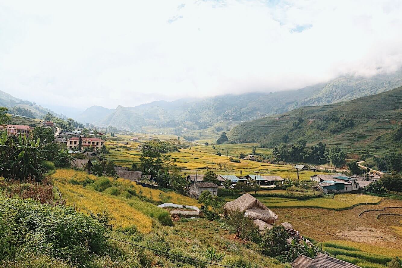 水稻成熟时节，Ta Van村美丽而令人印象深刻