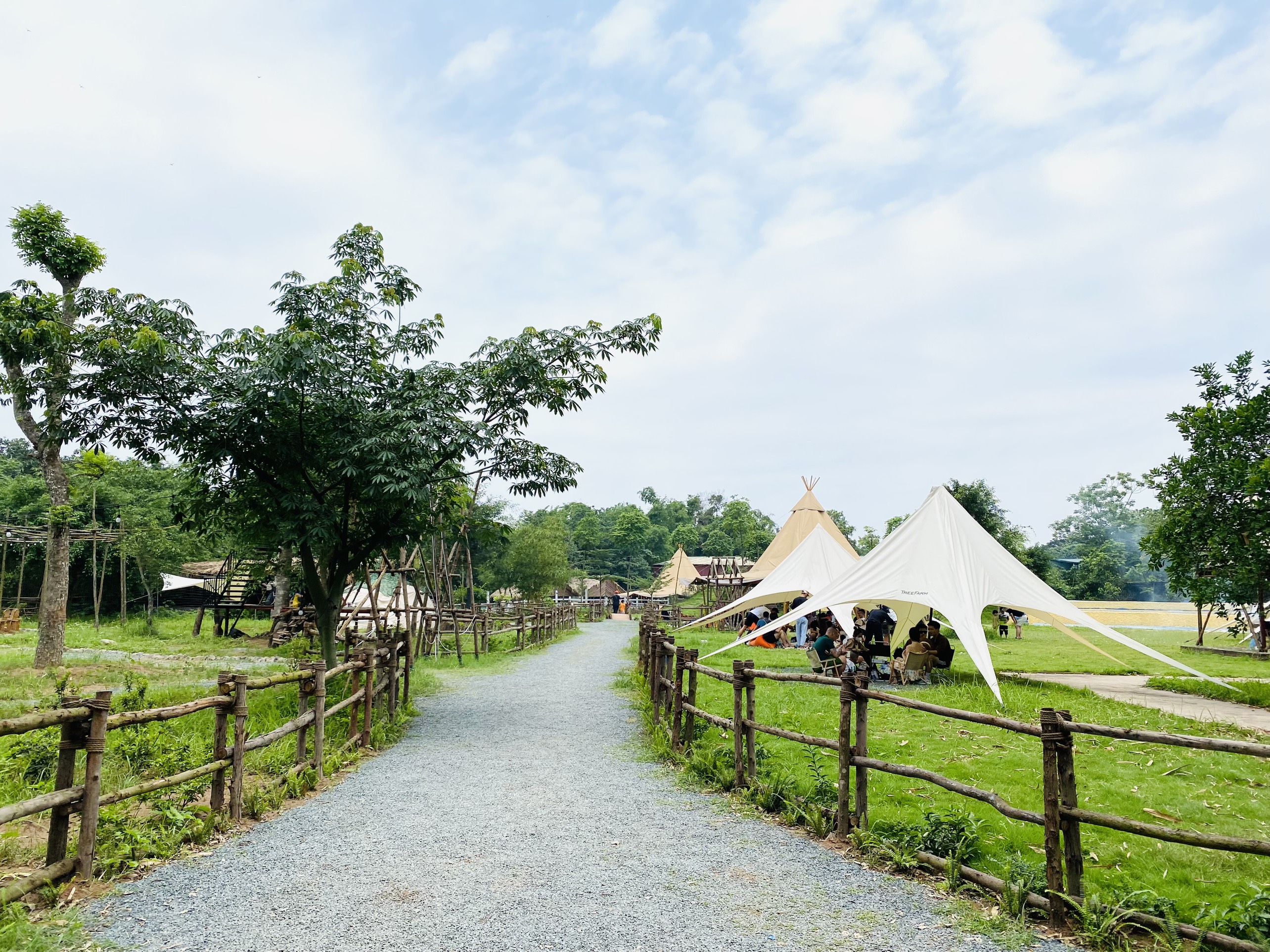 TreeFarm Coffee & Glamping – Địa điểm cắm trại hấp dẫn cho ngày cuối tuần tại Hà Nội