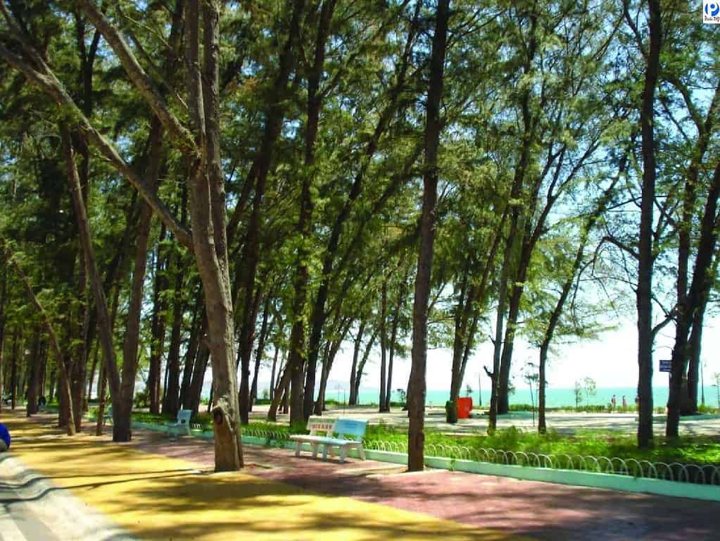 Doi Duong Park