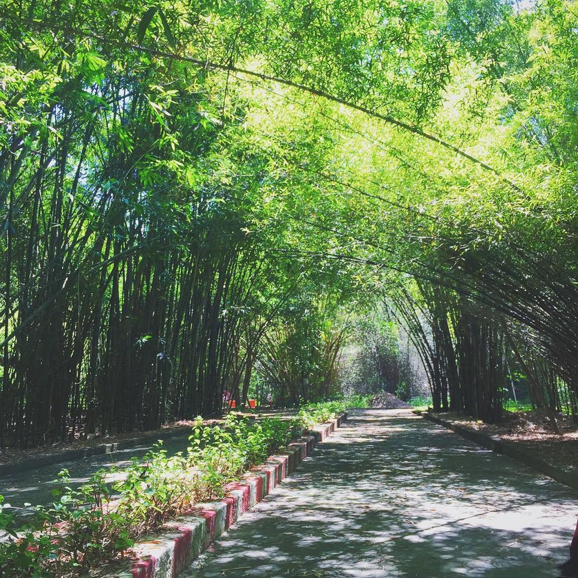 Phu An Bamboo Village - A unique bamboo ecological museum in Southeast Asia