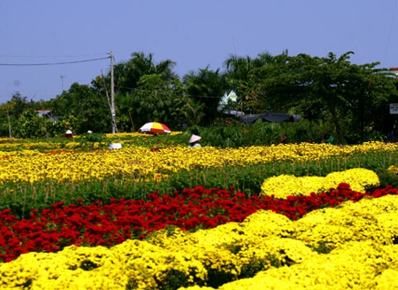 Me Linh Flower Village