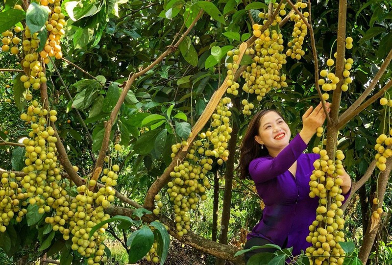 来昆富达品尝花园水果